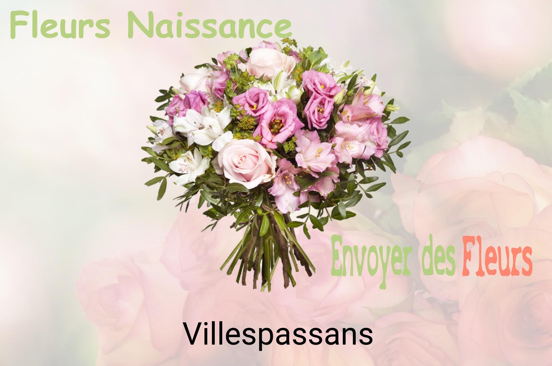 Bouquet de fleurs de naissance livré à Villespassans