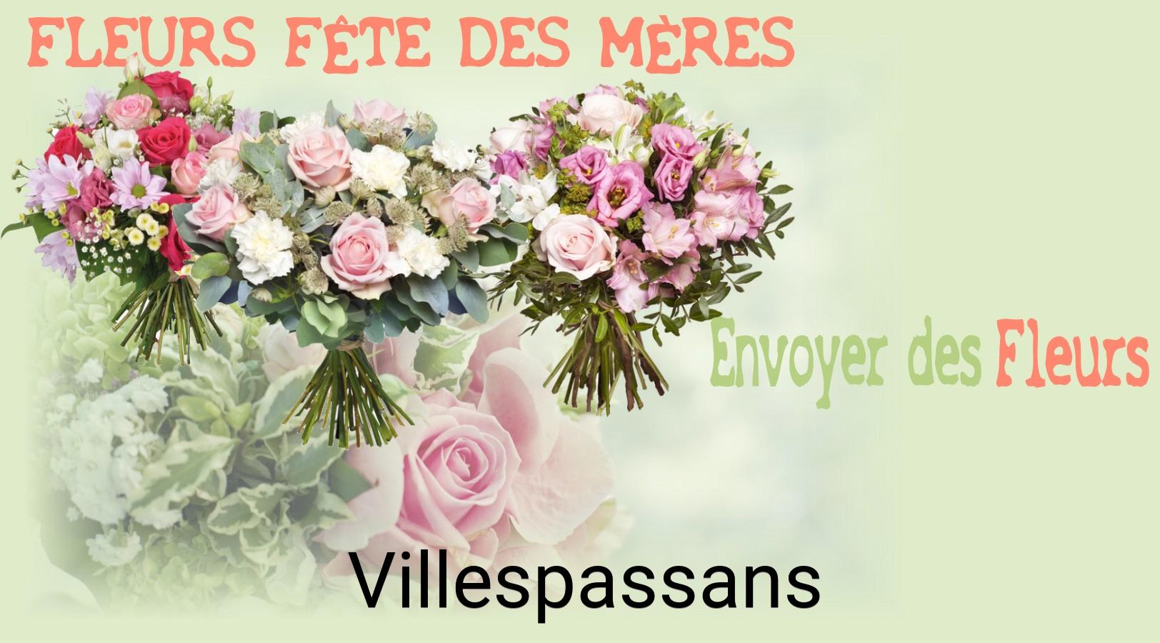 Bouquet de Fête des Mères livré à Villespassans